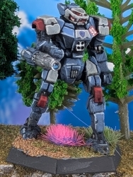 Battletech Panther Free Rasalhague Republic 1st Drakons