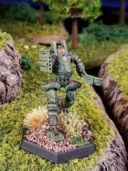 Battletech Thorn Clan Wolverine, Minnesota Tribe, SLDF