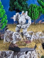 Battletech Thorn Comstar Com Guards